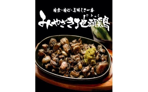 【宮崎ブランド地鶏】朝挽き”みやざき地頭鶏”おためしセット　約1.3㎏（国産 鶏 鶏肉 地鶏 小分け モモ肉 もも肉 ムネ肉 むね肉 焼肉 鍋 唐揚げ 炭火焼 チキン南蛮 宮崎 小林市）