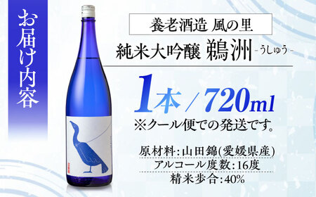 ＼レビューキャンペーン中／繊細さが生み出す渾身の一滴！養老酒造 純米大吟醸『鵜洲』720ml×1本　愛媛県大洲市/一般社団法人キタ・マネジメント（大洲まちの駅あさもや）[AGCP804]