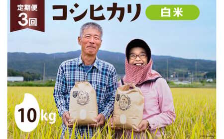 【期間限定発送】 米 定期便 コシヒカリ 白米 10kg 3回 総計 30kg [農家にしの 石川県 宝達志水町 38601173]