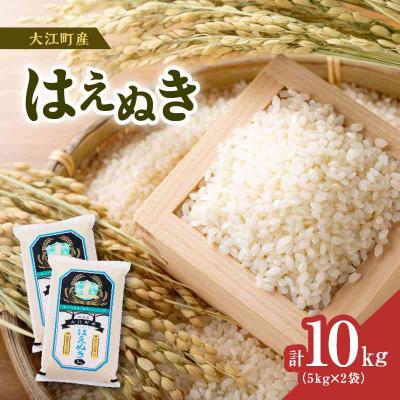 ふるさと納税 大江町 【新米】大江町産 はえぬき 10kg(5kg×2) 001-086