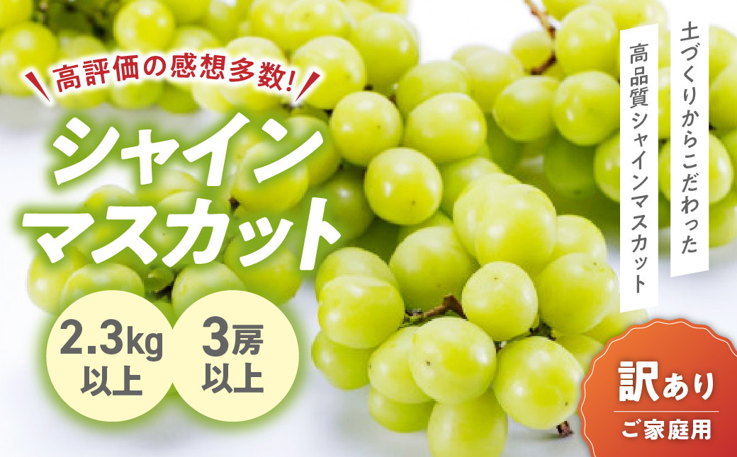 
            【来年（2026年/令和8年）発送＜先行予約＞】 訳あり ご家庭用 シャインマスカット 3房以上 2.3kg 先行予約 先行 予約 山梨県産 産地直送 フルーツ 果物 くだもの ぶどう ブドウ 葡萄 シャイン シャインマスカット 新鮮 人気 おすすめ 国産 贈答 ギフト お取り寄せ わけあり ワケアリ 新鮮 甘い 皮ごと 山梨 甲斐市 BI-1
          
