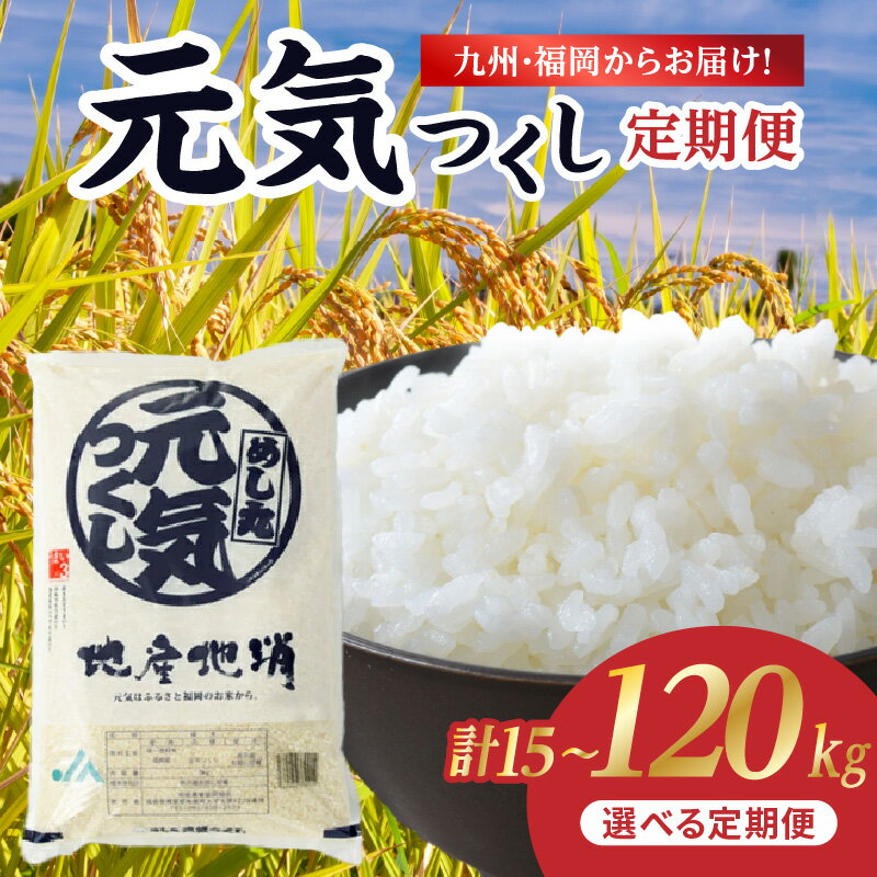 【ふるさと納税】【4年連続 米の食味ランキング 特A獲得】【選べる内容量・回数】九州・福岡からお届け！ブランド米「元気つくし」 選べる回数 選べる内容量 定期便 お米 米 コメ 白米 特A 直送 お弁当 おにぎり 炊きたて ツヤ 粘り もちもち 弾力 卵かけご飯 福岡県 八女市