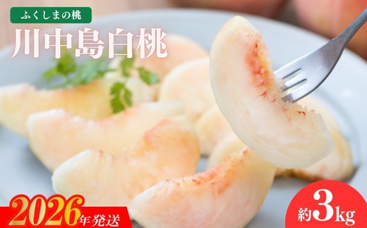 No.2415もも「川中島白桃」 約3kg【2026年発送　先行予約】