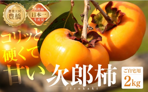 ≪先行予約≫ 次郎柿 2kg ご自宅用 生産量日本一 豊橋石巻産 訳あり 不揃い 2026年産 提供 しもさわ (8~12玉) 次郎柿 2kg 次郎柿 2kg 次郎柿 2kg 次郎柿 2kg 次郎柿 2kg 次郎柿 2kg 次郎柿 2kg 次郎柿 訳あり 次郎柿 訳あり 柿 訳あり 2kg 柿 訳あり 2kg 訳あり 訳あり 不揃い 不揃い 次郎柿 訳あり 柿 訳あり 2kg 次郎柿 訳あり