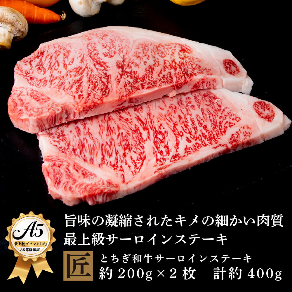 【ふるさと納税】とちぎ和牛 A5サーロイン 約200g×2枚 ｜ 国産 和牛 牛 肉 生産者 認定 銘柄 A5 旨味 うまみ きめ細かい サシ 霜降り とろける 品質 柔らかく 美味しい おいしい 芸術品 特産品 栃木県 真岡市 送料無料 栃木県共通返礼品