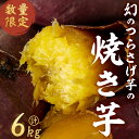 【ふるさと納税】【数量限定】【先行予約】つらさげ芋の焼き芋（500g×12P）期間限定 さつまいも おやつ さつま芋 サツマイモ お菓子 産地直送 お取り寄せ 数量限定 紅はるか 高級 和スイーツ 焼き芋 やきいも 焼芋 贈答用 【森人くらぶ】E5-1906