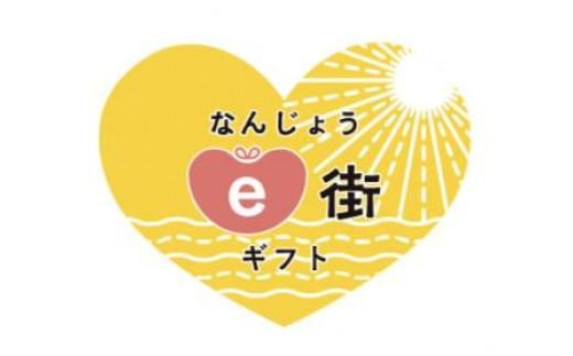 
電子商品券 なんじょうe街ギフト（270,000円分）
