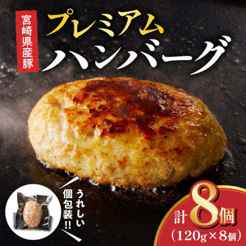 宮崎県産豚プレミアムハンバーグ(計8個) 肉 豚肉 加工品 惣菜 国産_T001-009