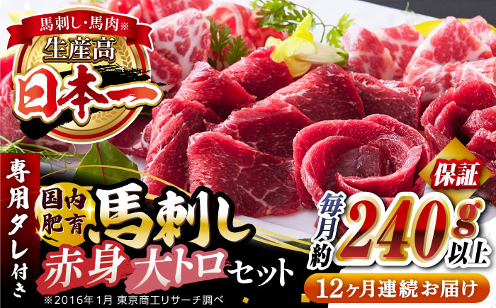 
            【全12回定期便】国内肥育 馬刺し 大トロ霜降り赤身セット 約240g以上保証 ( 大トロ霜降り 赤身 ) 専用タレ付き 熊本 山都町 冷凍 馬肉 馬刺 ヘルシー 小分け【有限会社 丸重ミート】[YAK043]
          