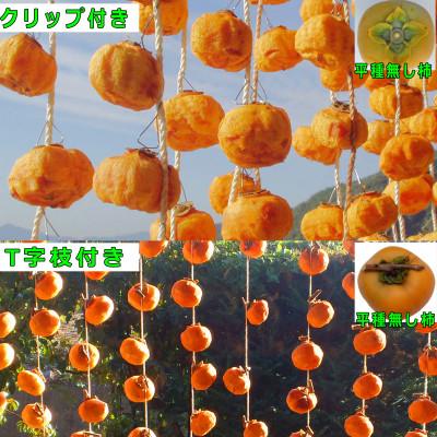ふるさと納税 かつらぎ町 吊るし柿用 生渋柿 ひもセット 約20〜30個、約4.5〜5kg【10月中旬〜11月上旬発送予定】 |  | 01