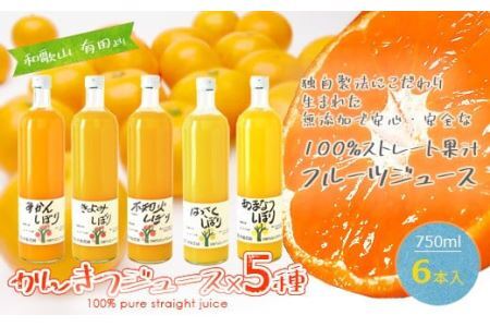 伊藤農園 100%ピュアジュース 大瓶750ml おまかせ6本セット(B224-2)