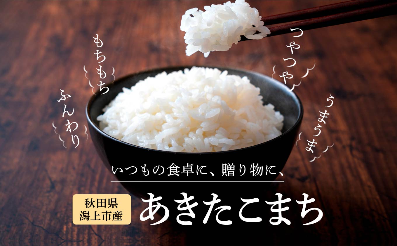 《先行予約》【6ヶ月定期便】 定期便 秋田県産 新米 あきたこまち 6か月 10kg 5kg × 2袋 精米 直送 米 お米 こめ おこめ コメ ブランド米 産地直送 贈り物 プレゼント おいしい 秋