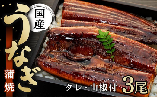 国産　うなぎ蒲焼3本セット