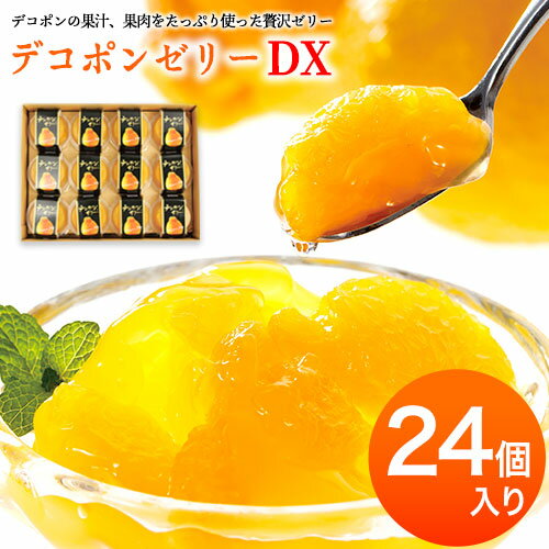 デコポンゼリーDX 24個入《60日以内に出荷予定(土日祝除く)》熊本県 葦北郡 津奈木町 あしきた農業協同組合 JAあしきた 柑橘 デコポン フルーツ 果物 ゼリー ギフト 包装 送料無料