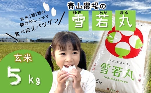 【令和6年産・玄米】青山農場の特別栽培米雪若丸5kg