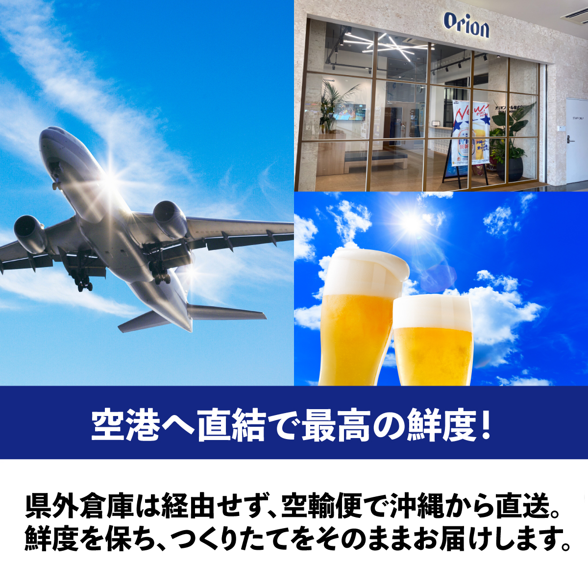【先行予約】≪ オリオン ザ・ドラフト 350ml × 48本 ≫ 48缶 48本 生ビール 地ビール オリオンビール 沖縄 豊見城市 母の日 父の日 ギフト お歳暮 お中元 贈り物 プレゼント おす