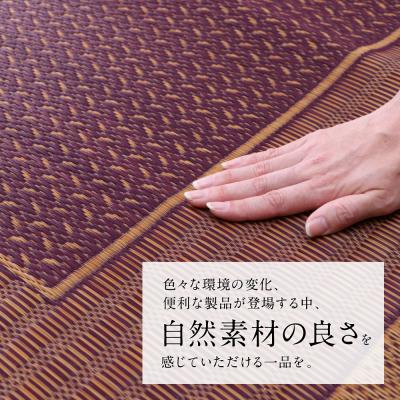 ふるさと納税 八代市 い草を使って織り上げたラグ『DXランクス』191cm×191cm:ワイン_022-6501 |  | 01