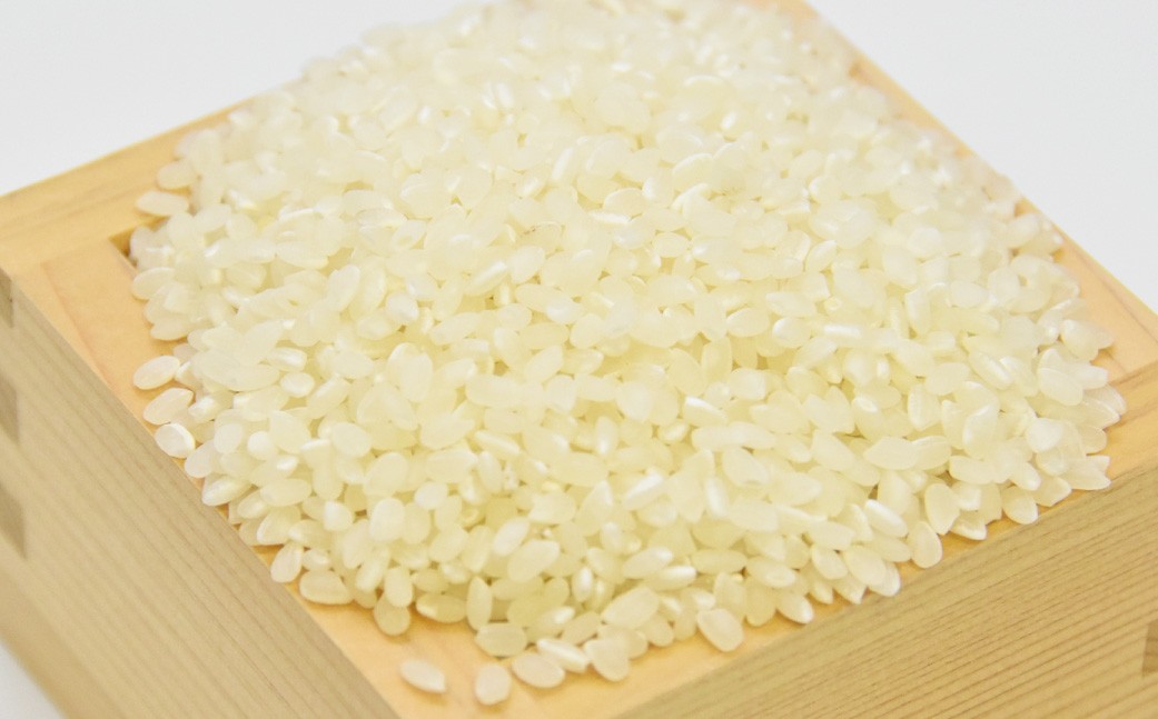 訳あり 令和7年産 美濃加茂産 コシヒカリ(10kg)