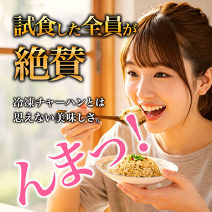 至極の高菜チャーハン　高菜 たかな チャーハン ご飯 ごはん 冷凍 レトルト 非常食 おうちごはん 温めるだけ 小分け 250ｇ×10パック トレー お米 阿蘇高菜 電子レンジ 昼食 夕食 お弁当 便