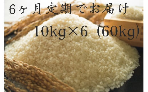 
            定期便 福岡県大川市産ヒノヒカリ（2024年秋収穫のお米）10kg×6回 定期コース（全6回のお届け） | 米 お米 こめ 白米 精米 60キロ 食品 ライス 令和6年 美味しい おいしい ご飯 ごはん 人気 おすすめ 送料無料 ふるさと納税 定期配送
          