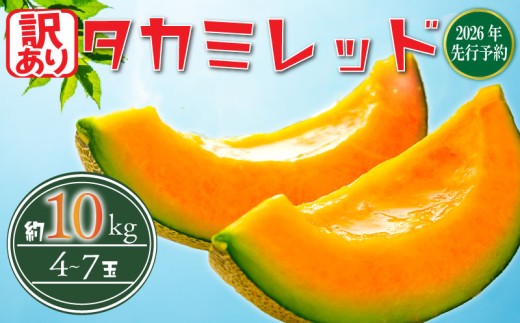 【 2026年 先行予約 】 訳あり メロン 赤肉 約10kg 以上 (2～6L) (約4～7玉) 果物 くだもの フルーツ タカミレッド めろん meron 貴味レッド デザート 糖度 おすすめ 高級 人気 旬 訳アリ 青果 贈り物 ギフト プレゼント 産地直送 送料無料 千葉県 旭市 たかの果樹園 tke005