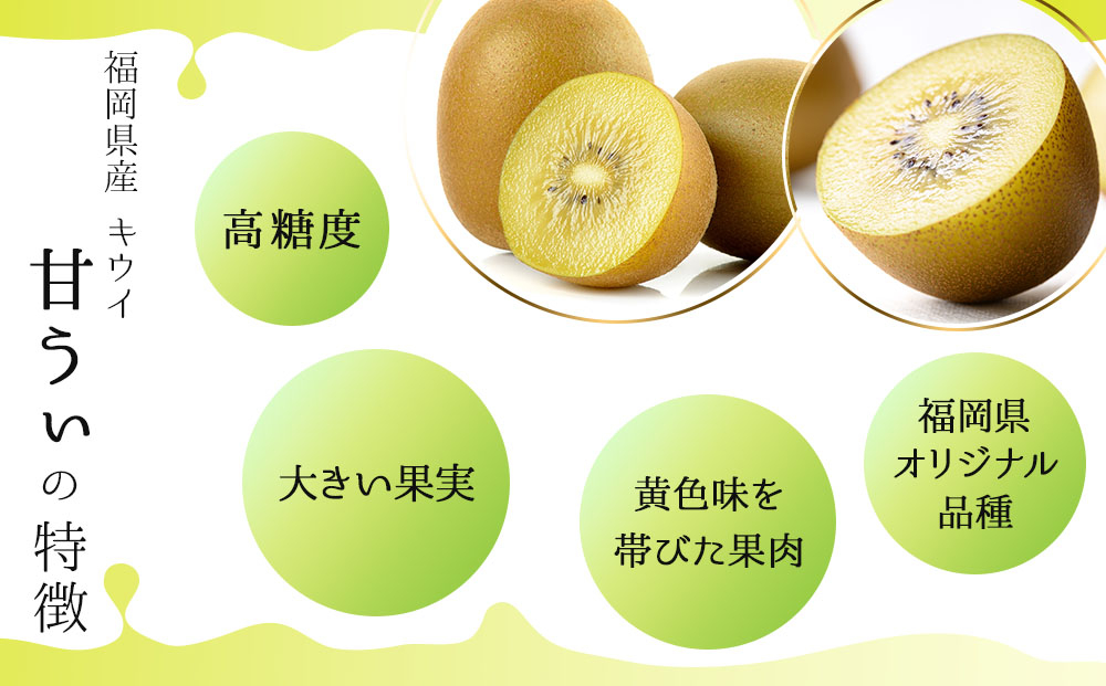 【先行予約】福岡限定!ブランドキウイ「甘うぃ(あまうぃ)」約3kg箱(24-30玉)(篠栗町)【NF006】