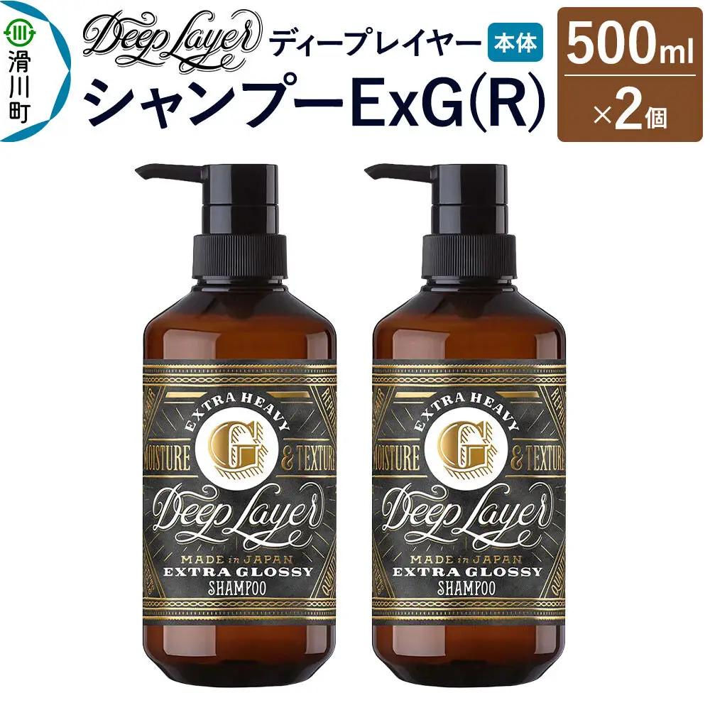 DeepLayer ディープレイヤー シャンプー ExG (R) 500mL×2個