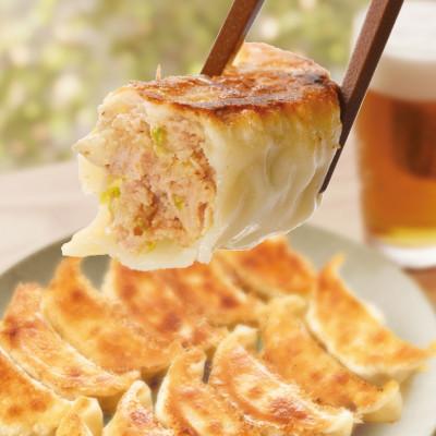 ふるさと納税 日高市 プレミアム冷凍生餃子120個(SAIBOKU×ぎょうざの満洲) |  | 03