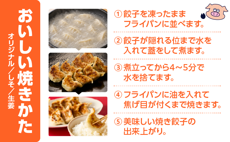 【定期便・全3回 4ヶ月毎】手包み餃子 ぎょうざの宝永 宝永餃子30個セット（宝永餃子15個入×2袋）　T004-T01-02-01