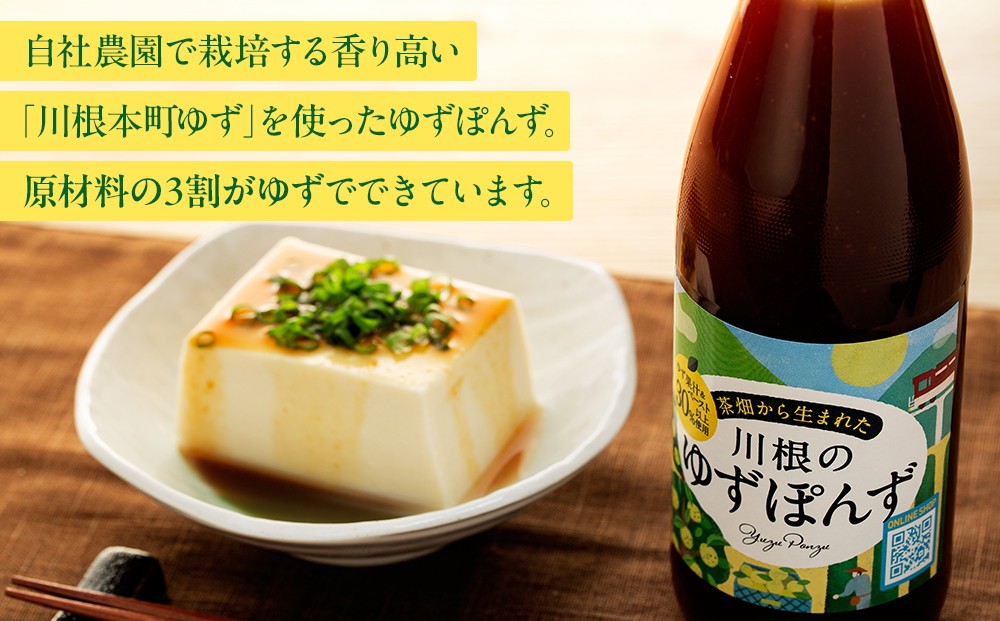 茶畑から生まれた 川根の「ゆずぽんず」
