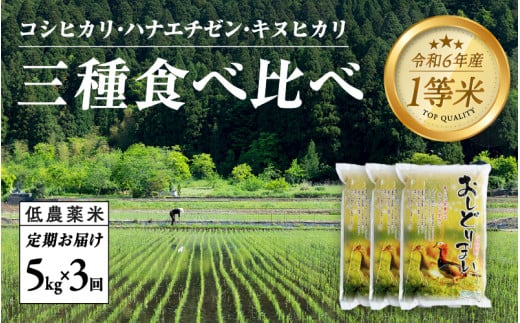 【3ヶ月連続お届け】新米！令和6年産 おしどり米 3種類食べ比べ定期便 5kg × 3回 計15kg [D-00504] / 有機栽培 白米 新米 白米 精米 ご飯 コメ ごはん ライス 産地直送 鯖江市