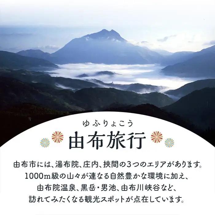 【由布市（湯布院、由布院、湯平、塚原高原）】ふるさと納税宿泊補助券30,000円分【 宿泊券】