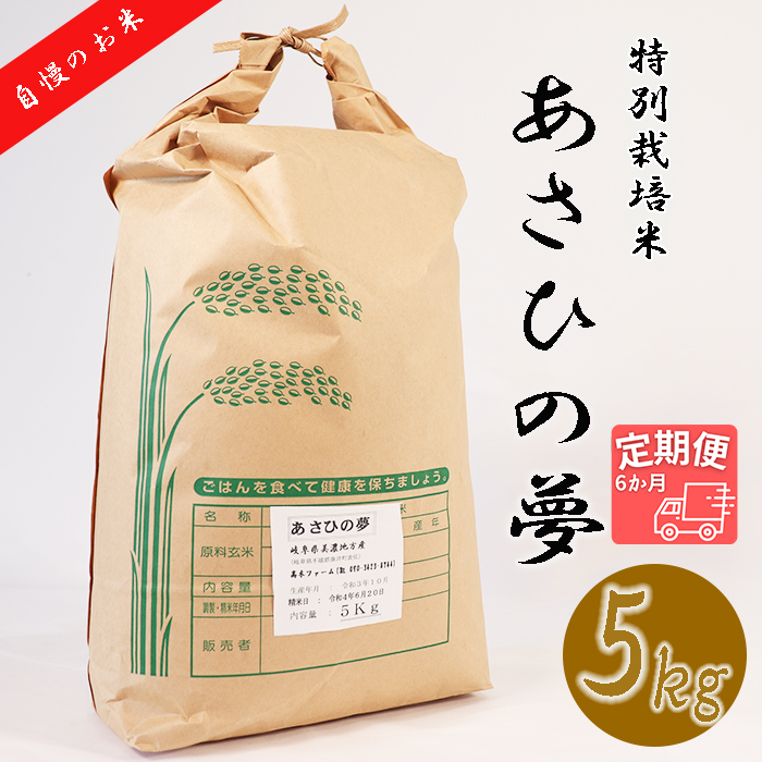 BI-9a 【6か月定期便】垂井町産あさひの夢(5kg×6回）