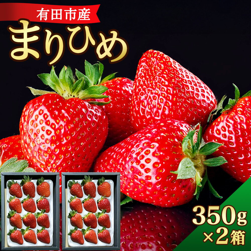 【ふるさと納税】【特選】 大粒 いちご 「まりひめ」 約350g×2箱 和歌山 苺 産地直送 濃厚 甘い フルーツ 果物 くだもの 人気 おすすめ 送料無料 国産 和歌山県有田市 年内 【12月中旬から順次お届け】 （A154-2）