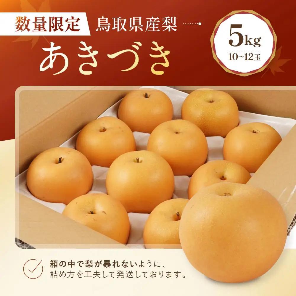 あきづき 5kg 10～12玉 数量限定 鳥取県産 梨 梨