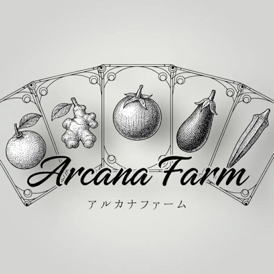 【6回定期便 野菜】 こだわりの新鮮野菜セット(8~11品目)
