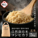 【ふるさと納税】【令和6年産 新米】伊与衛門農園の自然栽培米 コシヒカリ 玄米 5kg 【福井県認証米】特別栽培米 ＜温度と湿度を常時管理し新鮮米を出荷！＞ / 米 高品質 鮮度抜群 ブランド米 福井県 あわら市産 スマート農業