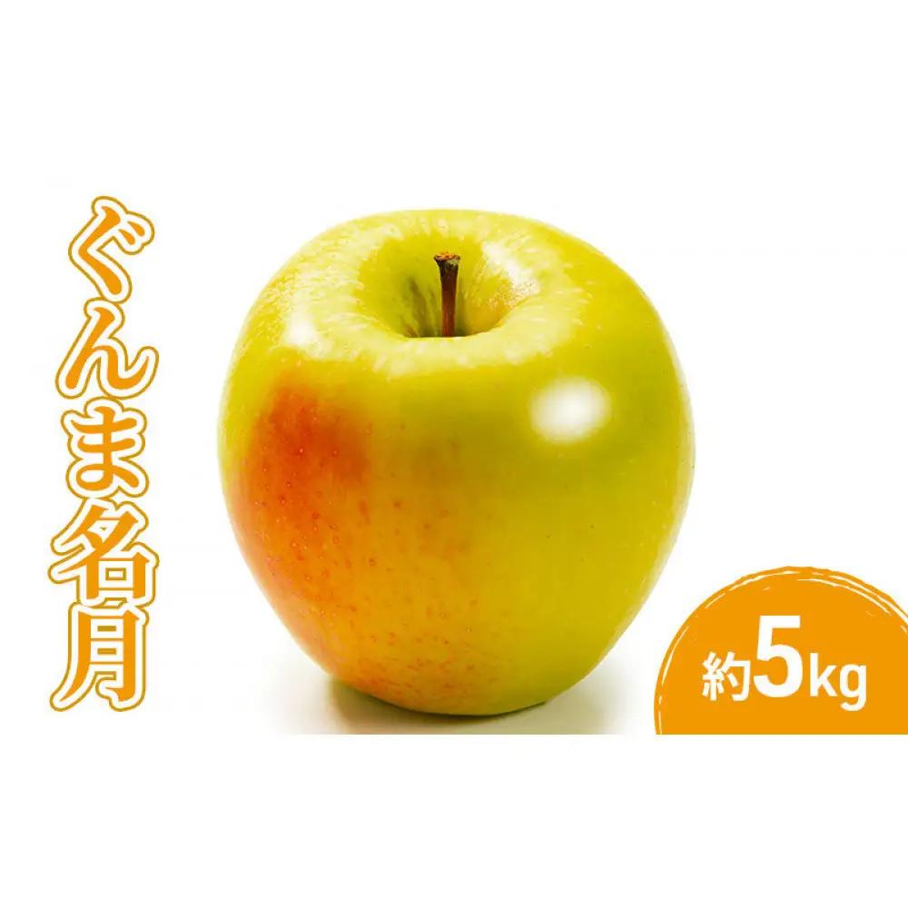 小松農園　2026年産先行予約ぐんま名月5kg 果物 フルーツ りんご 長野県 | りんご