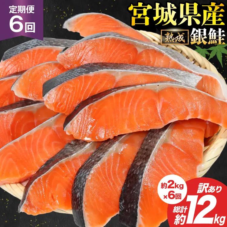 定期便 《6ヶ月連続お届け》 訳あり 宮城県産 熟成 銀鮭 切身 約2kg×6回 計12kg [宮城東洋 宮城県 気仙沼市 20564499] 魚 鮭 海鮮 国産 さけ 鮭 甘口 サケ 鮭切身 シャケ 切り身 冷凍 おかず 弁当 支援 事業者支援 サーモン