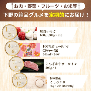 下野市を堪能!!まんぷく定期便4回 | 紅白いちご 100％ｶｼﾞｭｰﾊｲﾋﾟﾝｸGFﾁｭｰﾊｲ缶 栃木県共通返礼品とちぎ和牛サーロイン 栃木県産こしひかり10kg 月ごとに届くものが変わる 送料無料