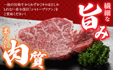 宮崎牛シャトーブリアンステーキ2枚(合計300g)_AG-N301_(都城市) 宮崎県 都城市 宮崎牛 シャトーブリアン ヒレ ステーキ 希少部位