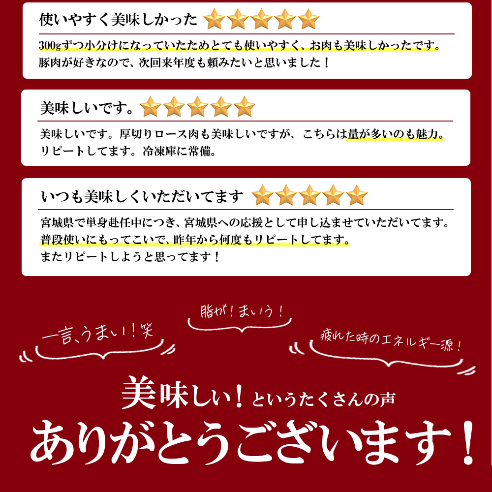 JAPAN X 豚小間切り落とし/計3kg　豚肉 豚 ブランド豚 小分け 豚こま 豚小間 切落し ジャパンエックス 蔵王 人気【04301-0067】_イメージ5