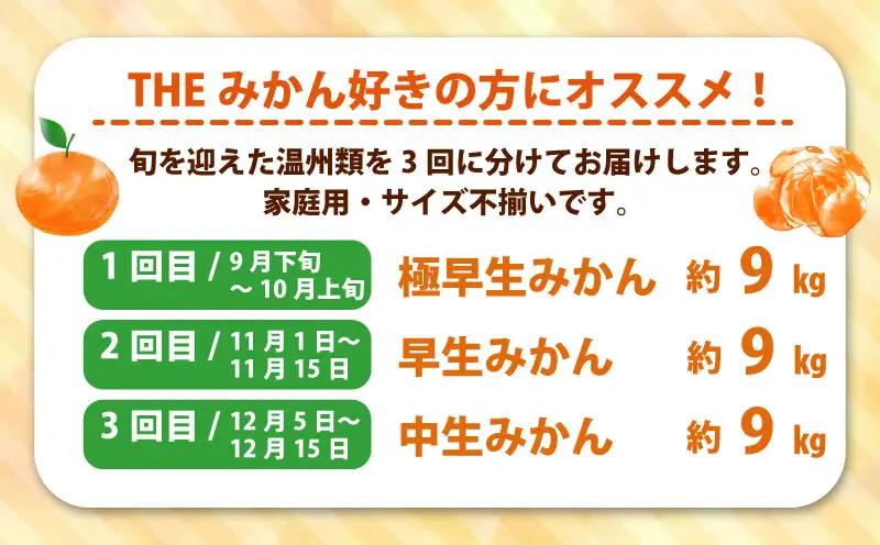 愛媛みかん 旬の みかん 定期便 3回 家庭用 9kg ×3回 極早生 早生 中生 兵頭農園 先行予約 温州 ごくわせ わせ なかて 3ヶ月 mikan 愛媛ミカン 愛媛蜜柑 果物 くだもの フルーツ