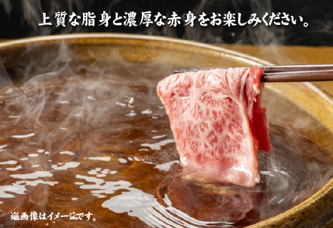 【A4等級以上】宮崎牛肩ロースしゃぶしゃぶ用 500g（国産 牛肉 宮崎牛 黒毛和牛 ロース しゃぶしゃぶ 霜降り 赤身 人気）