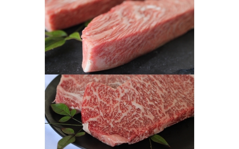 
2ヶ月連続お届け 伊賀牛 ステーキ（1：モモ・2：サーロイン）各200g×4枚
