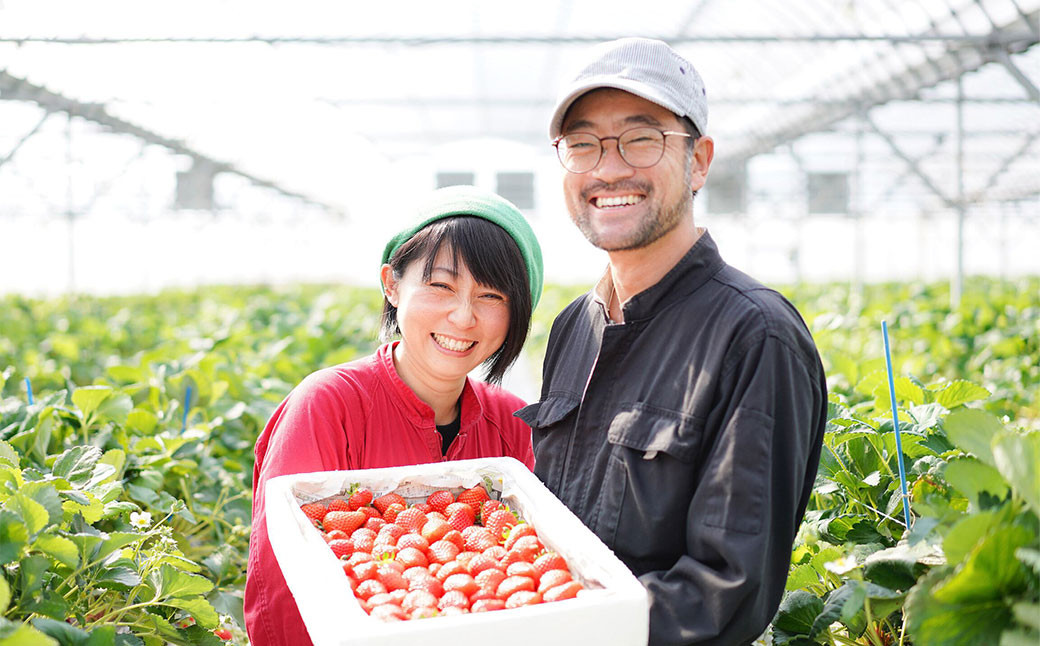 井上苺園のオリジナルジェラート6個セット 2種 ジェラート ソルベ あまおとめ 愛媛県 （475）