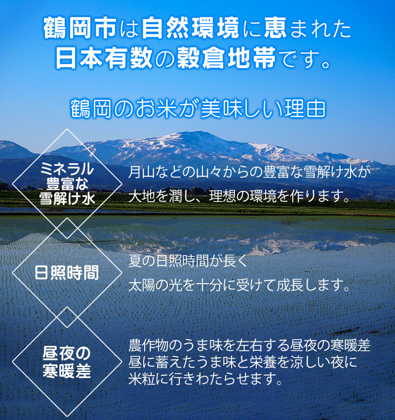 【令和7年産】【3ヶ月定期便】【新米】つや姫 無洗米 10kg (5kg×2袋) ×3回　(計30kg)  山形県庄内産　有限会社 阿部ベイコク