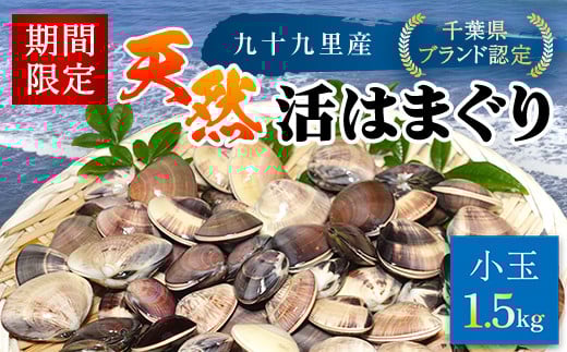 ＜先行受付/2026年5月より配送＞【千葉県ブランド認定】天然活はまぐり（小玉）《1.5㎏》／ふるさと納税 はまぐり ハマグリ 蛤 貝類 魚介 海鮮 お吸い物 パスタ パエリア お歳暮 贈答 お祝い 千葉県 山武市 SMBO001