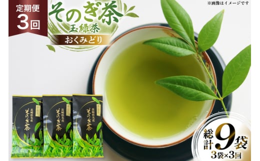 茶 お茶 緑茶 定期便 毎月 そのぎ茶 おくみどり 100g 3袋 3回 総計9袋 [月香園製茶 長崎県 東彼杵町 hs42bag260011] 日本茶 茶葉 ちゃ りょくちゃ 彼杵茶 全国茶品評会 産地賞 受賞