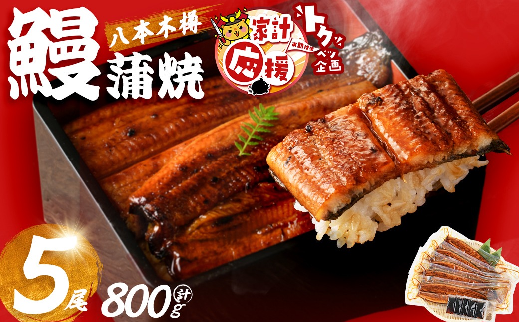 【数量限定】国産 八本木樽鰻の蒲焼(160g以上×5尾) b7-025